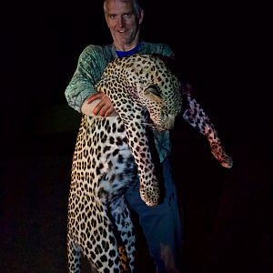 Hunting Leopard in Namibia