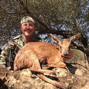 Sharpe´s Grysbok Bow Hunt South Africa