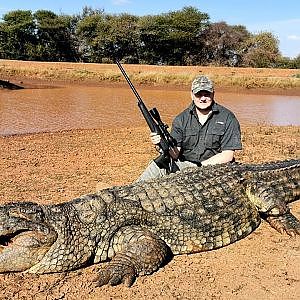 South Africa Hunting Crocodile