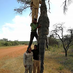 Hunt Crocodile in South Africa