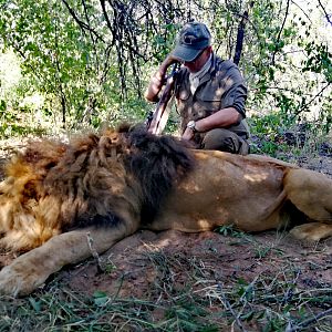 Hunt Lion in South Africa