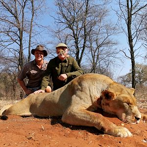 Lioness Hunting South Africa