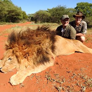 Hunting Lion in South Africa