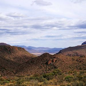 Hunt Vaal Rhebok & Klipspringer in South Africa