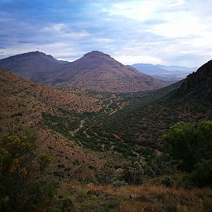 Klipspringer & Vaal Rhebok Hunting South Africa