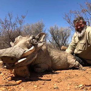 Hunt Warthog in Namibia