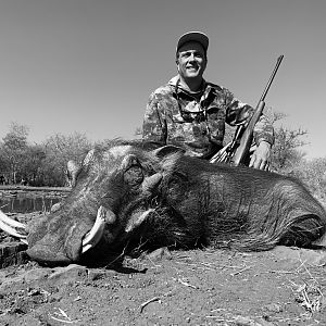 Warthog Hunt South Africa