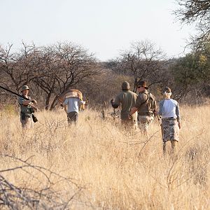 Impala Hunting South Africa