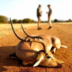 Hunt Impala in South Africa