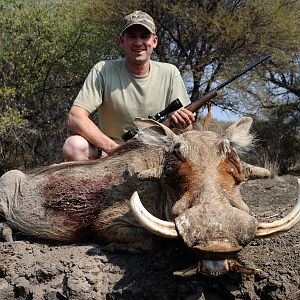 Warthog Hunting South Africa