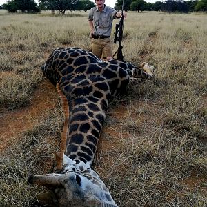 Hunting Giraffe in South Africa