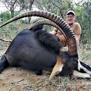 Hunt Sable Antelope in South Africa