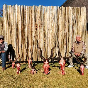 South Africa Trophy Hunt