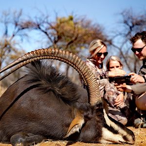 Sable Hunting South Africa