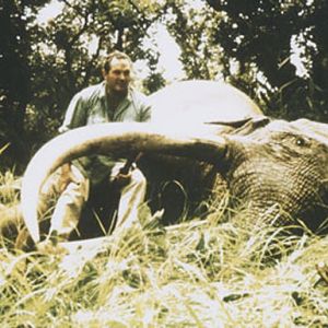 302lb Tusker