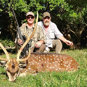 Axis Deer Hunting Argentina