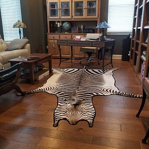 Hartmann's Mountain Zebra Rug