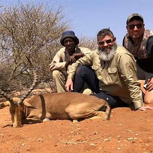 Namibia Hunt Impala