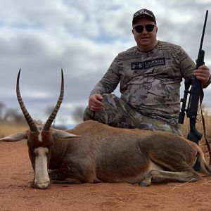 South Africa Hunting Blesbok