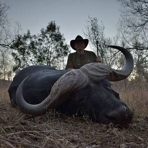 Buffalo Hunting South Africa