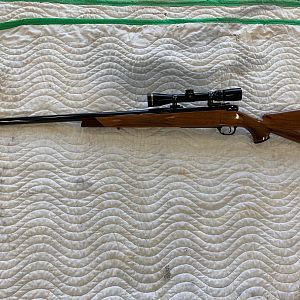 460 Weatherby Magnum Rifle