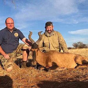 Red Hartebeest Hunt Namibia