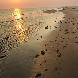 Fishing Mozambique