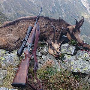 Chamois Hunting in Romania