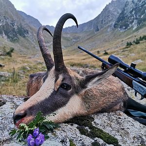 Chamois Hunting in Romania