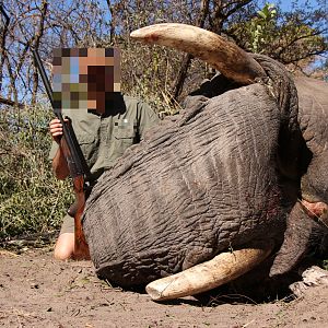 Hunt Non-exportable Elephant