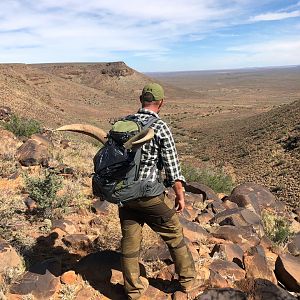 Hunt Barbary Sheep in South Africa