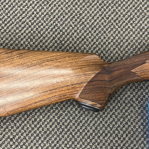 Kimber Caprivi in 458 Lott Rifle