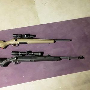 375 Ruger Rifle & 358 Winchester Rifle