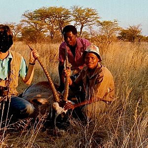 Namibia Hunting Gemsbok