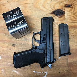 P229 in .357 Sig Pistol