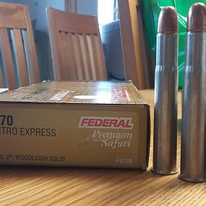 Hornady 500 grain DGS (Soft) & Federal 500 grain Woodleigh (Solid)