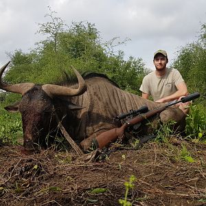 South Africa Hunt Blue Wildebeest