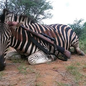 Hunting Burchell's Plain Zebra in South Africa