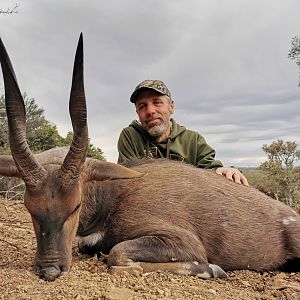 Hunt Bushbuck in South Africa