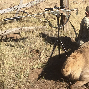 Hunting Setup