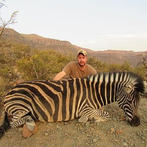 Burchell's Plain Zebra Hunt South Africa