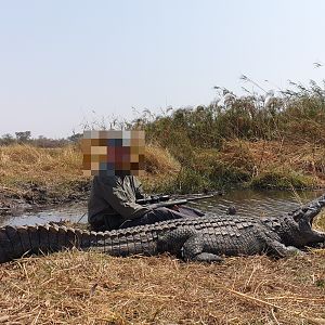 Hunt Crocodile