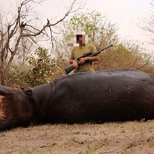 Hippo Hunting