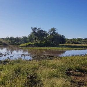 Namibia Rain