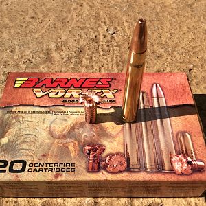 300 gr Barnes TSX Bullet Performance