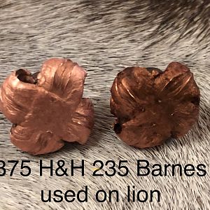 375 H&H 235 Barnes TSX Bullet Performance