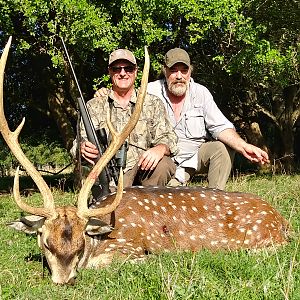 Axis Deer Hunting Argentina