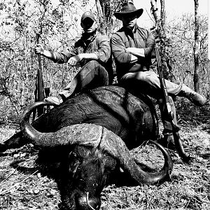 Buffalo Hunting Tanzania