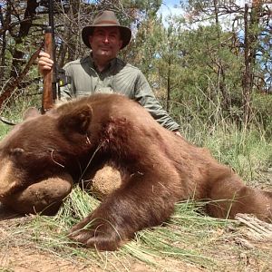 Hunting Brown Bear in New Mexico USA