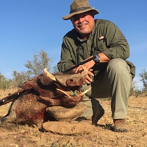 Hunting Warthog in Namibia